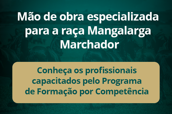 Noticia