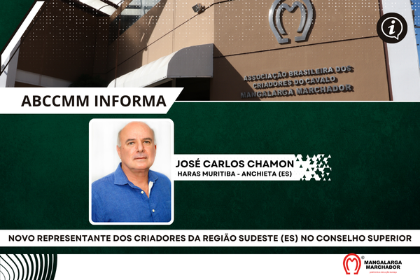 Noticia