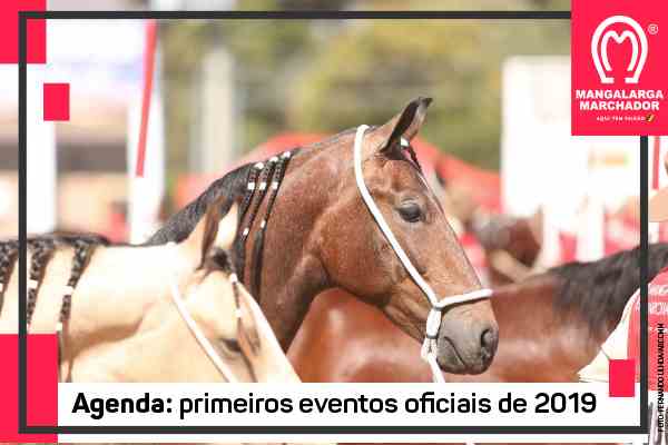 Noticia