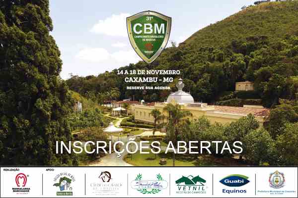 Noticia