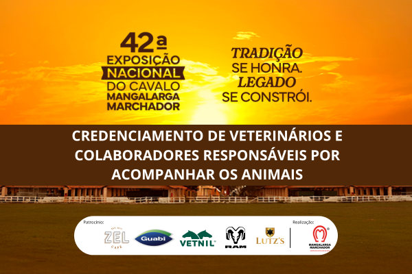 Noticia