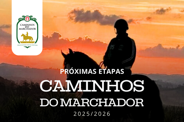 Noticia