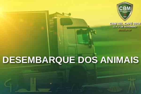 Noticia