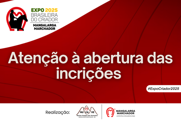 Noticia