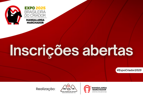 Noticia