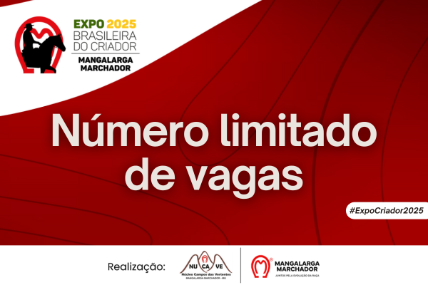 Noticia