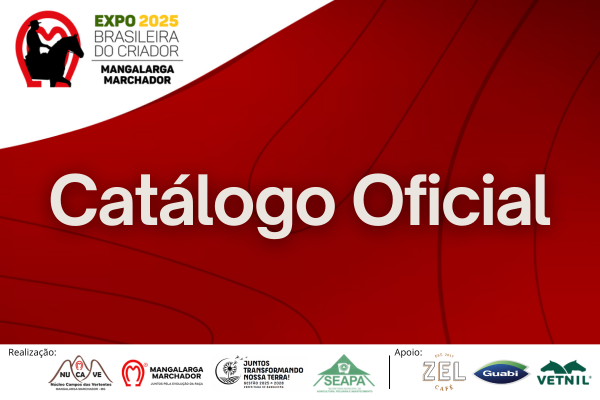 Noticia