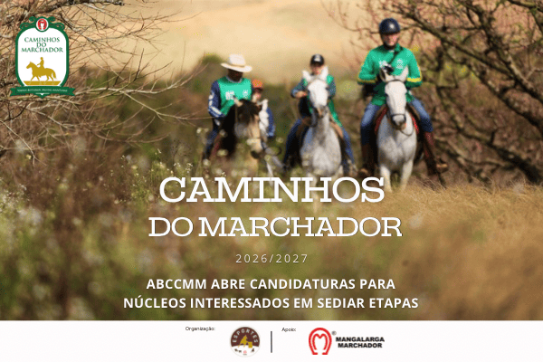 Noticia