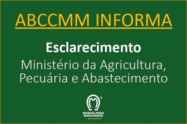 Noticia