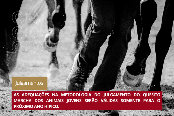 Noticia
