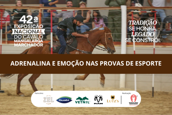 Noticia