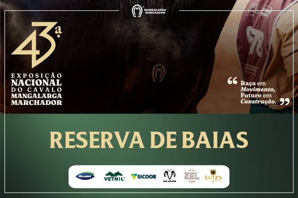 Noticia