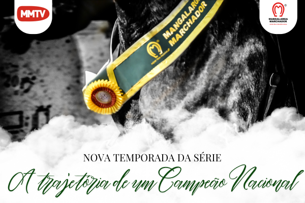 Noticia