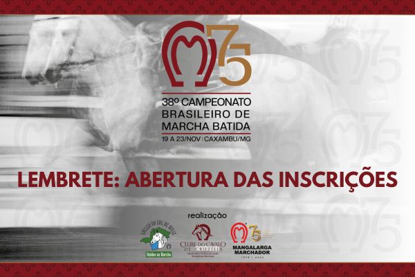 Noticia