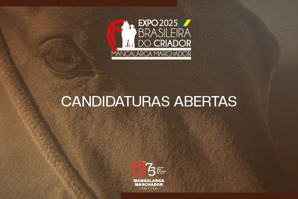 Noticia