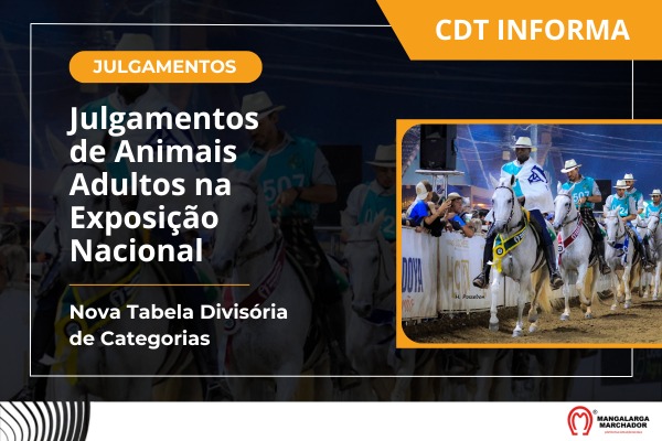 Noticia