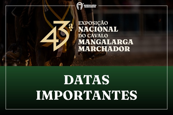 Noticia