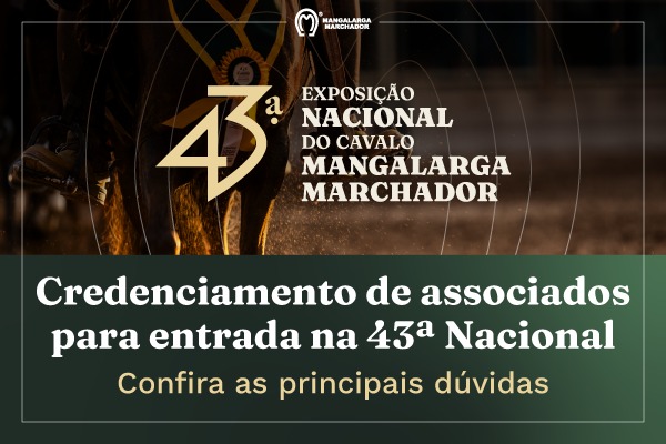 Noticia