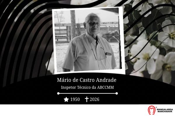 Noticia