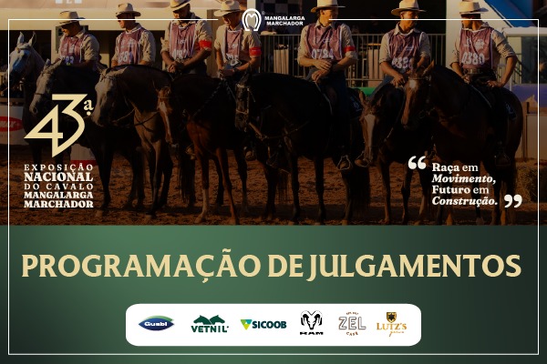 Noticia
