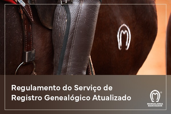 Noticia