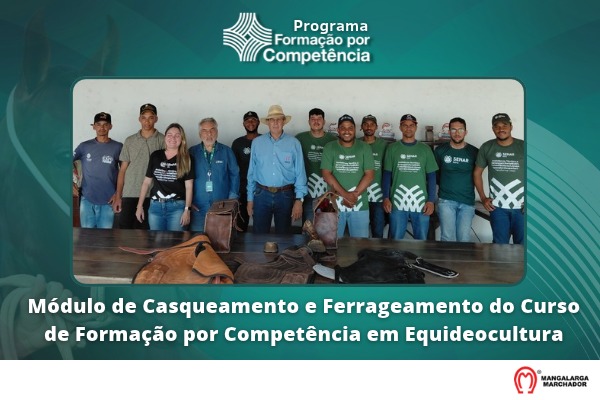 Noticia