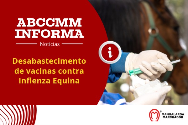 Noticia
