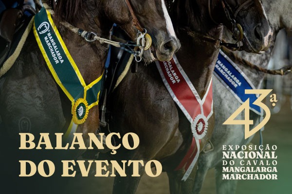 Noticia