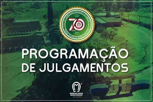 Noticia