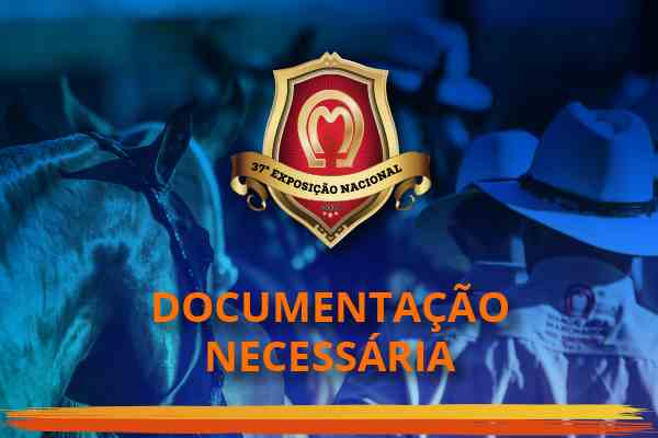 Noticia