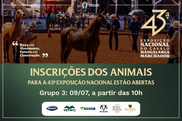 Noticia