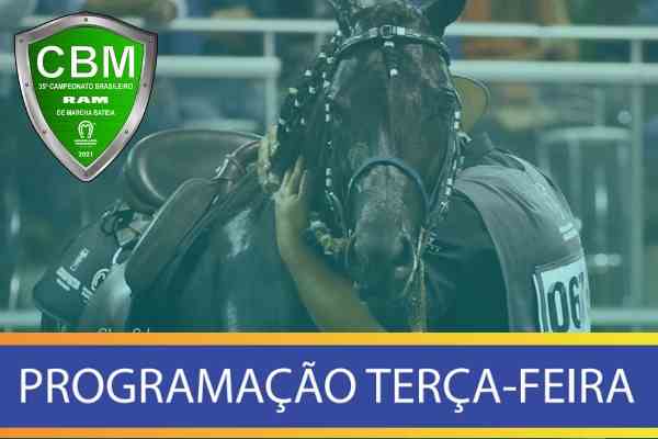 Noticia