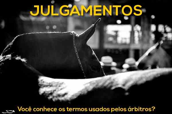 Noticia