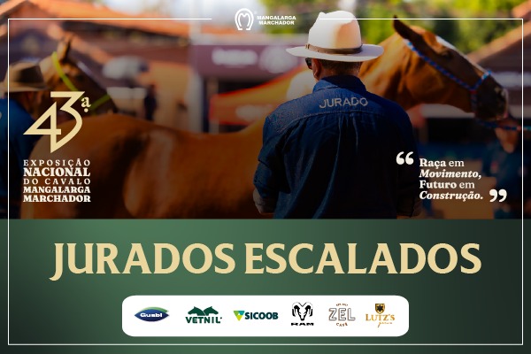 Noticia