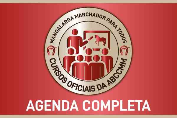 Noticia
