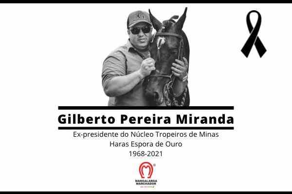 Noticia