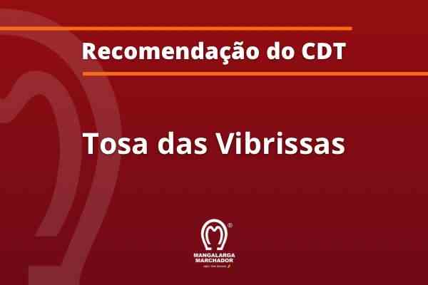 Noticia